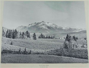 Image description is not available for 2007.084